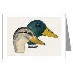 Mallard Duck Pair Watercolor Greeting Card by NANCE